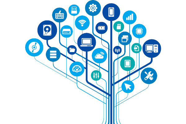 Bilgi Güvenliği Hizmetleri